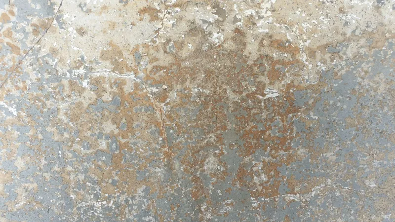 What Your Basement Walls Are Trying to Tell You: A Homeowner's Guide to Reading Below-Grade Warning Signs
