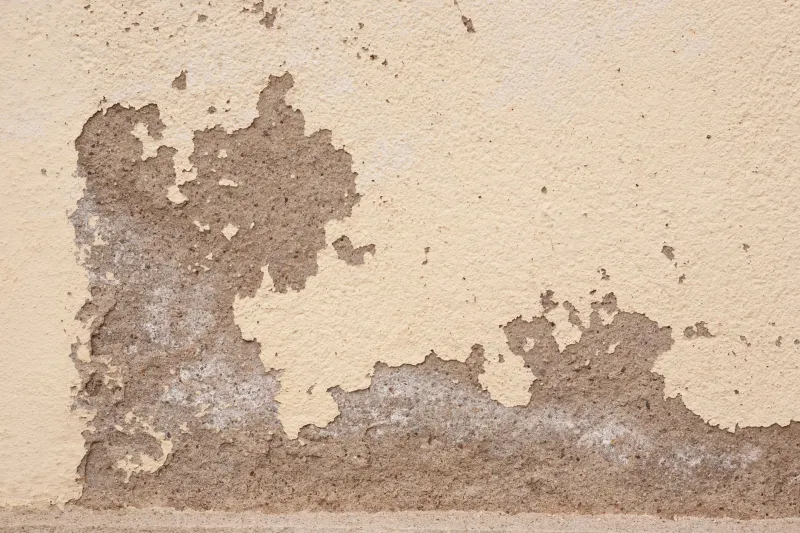 Crawl Space Moisture: The Silent Threat That Turns Forgotten Humidity Into Foundation Failure